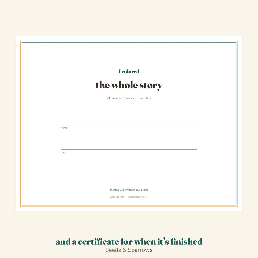 I colored the whole story certificate